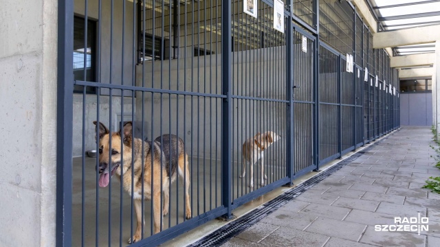 W województwie zachodniopomorskim schroniska dla zwierząt działają prawidłowo i są dobrze przygotowane na zimową falę mrozów - zapewnia wojewoda zachodniopomorski Adam Rudawski.