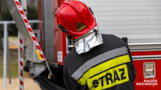 141 interwencji: powalone drzewa, zdarzenia drogowe i wsparcie medyczne.