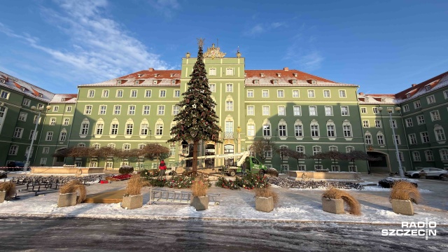 Po prawie dwóch miesiącach choinka znika z placu przed szczecińskim magistratem. Trwa jej demontaż. To jej pierwszy sezon - była jedną z częściej fotografowanych atrakcji w centrum miasta. Drzewko miało ponad 16 metrów wysokości i było ozdobione m.in. 36 tysiącami lampek i klasycznymi dekoracjami.