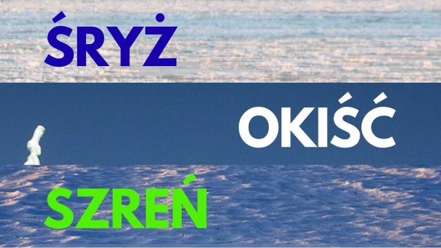 Śryż, okiść czy morszkulce to przykłady z bogatej listy polskich słów, określających zimowe zjawiska przyrodnicze.