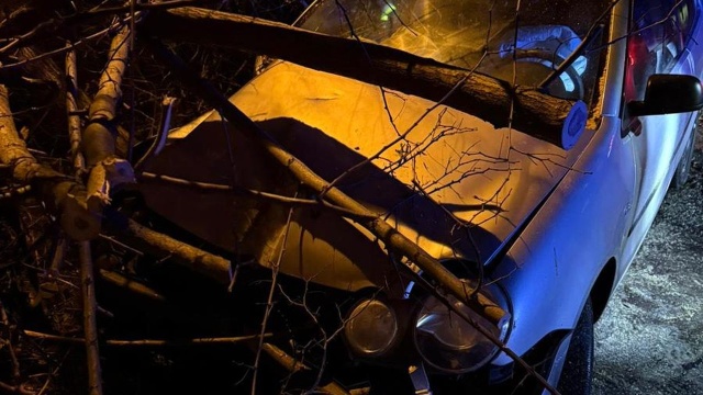 Udawał, że zatrzymuje się do kontroli drogowej 29-latek ucieczkę zakończył na drzewie.