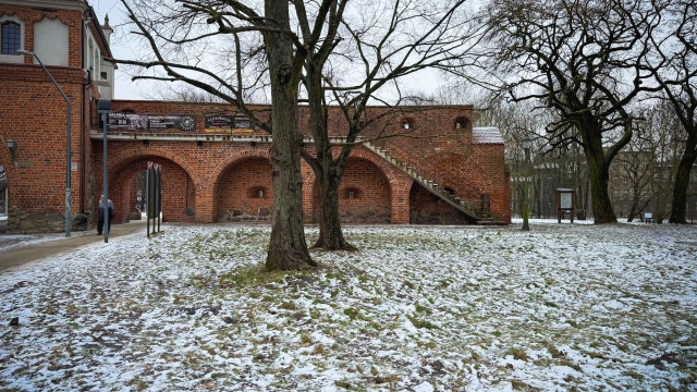 Hortensje, róże i krokusy - tysiące nasadzeń już za kilka miesięcy pojawi się w Stargardzie.