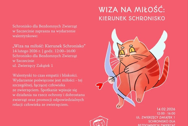 W Walentynki możemy okazać miłość nie tylko drugiemu człowiekowi, ale i czworonogom.