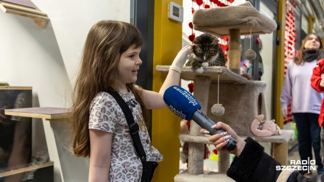 Tam trwa akcja walentynkowa, z prelekcjami, warsztatami i słodkim poczęstunkiem. A odwiedzający przede wszystkim mogą zapoznać się z czworonogami. - Już... 