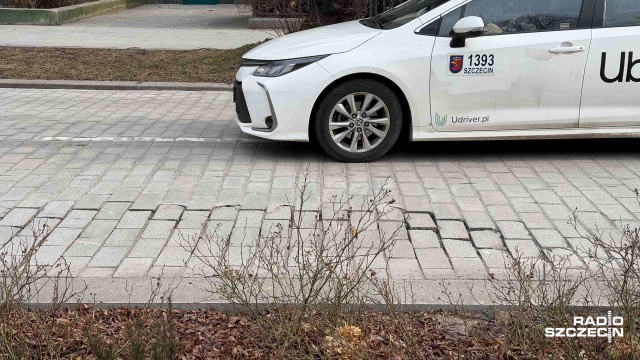 To złe materiały zastosowane przy budowie podłoża powodują uszkodzenia kostki brukowej na przebudowanej Alei Jana Pawła II w Szczecinie - to główne wnioski z ekspertyzy wykonanej przez naukowców z Zachodniopomorskiego Uniwersytetu Technologicznego.