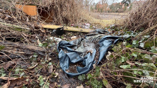 Nieustanne sprzątanie, a śmieci wciąż wracają. Mieszkańcy Pogodna od kilku lat alarmują o dzikim wysypisku przy torach w rejonie ulic Sienkiewicza i Domańskiego.