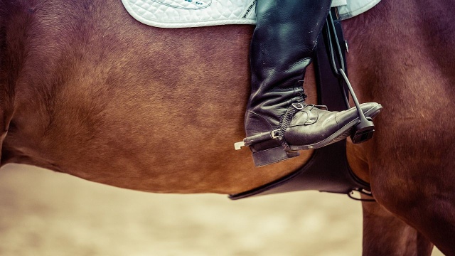 Mieszkańcy szczecińskiego Kijewa spotkają się z Inwestorem, by porozmawiać o budowie ośrodka jeździeckiego, który wzbudza kontrowersje. Ten miałby powstać w okolicy jeleniego Stawu przy autostradzie A6.