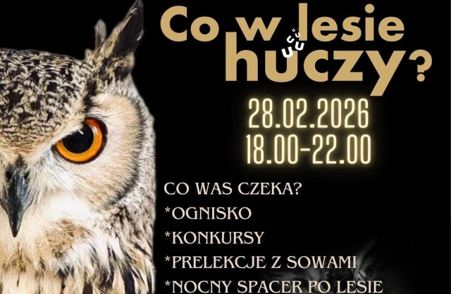 Spacer do lasu w poszukiwaniu puszczyków, sowie ciekawostki i wspólne ognisko. Ośrodek Rehabilitacji Dzikich Zwierząt w Wielgowie wraz z Nadleśnictwem Nowogard organizuje edukacyjne spotkanie dla miłośników sów pod hasłem Co w lesie huczy.