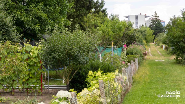 Rodzinne Ogrody Działkowe w regionie mogą zostać wyróżnione. To w ramach czwartej edycji konkursu Przyjazne Ogrody.