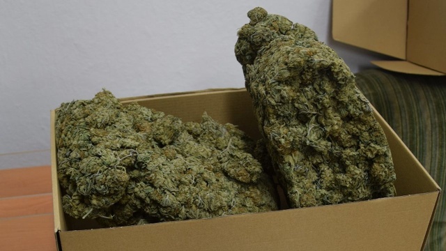 Ponad kilogram narkotyków przejęli policjanci ze Złocieńca.