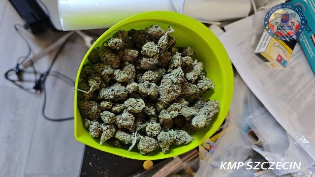 Policjanci z Wydziału do Walki z Przestępczością Narkotykową Komendy Miejskiej Policji w Szczecinie namierzyli i zlikwidowali nielegalną plantację marihuany.