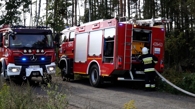 Nadleśnictwo Kliniska niechlubnym rekordzistą Polski - to właśnie tam doszło w zeszłym roku do największej liczby pożarów.