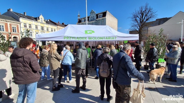 Miłe spotkanie z okazji rozpoczęcia wiosny - zabawa dla całej rodziny i przede wszystkim gratka dla miłośników ogrodów. Na świnoujskim Placu Wolności każdy chętny może odebrać sadzonkę wybranego drzewa czy krzewu.