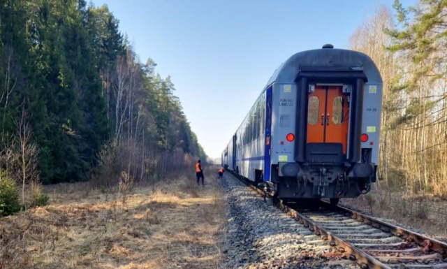Na Podlasiu pociąg PKP Intercity Żubr zderzył się z grupą żubrów. Nikomu z pasażerów nic się nie stało, w wypadku zginęły trzy zwierzęta.