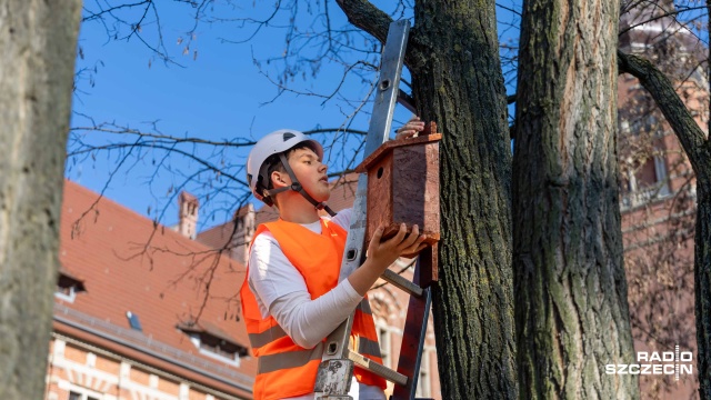 W Szczecinie ruszył projekt Ptasia kawalerka, w którym powstają budki lęgowe dla ptaków. Wszystko po to, żeby było ich w mieście więcej.