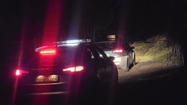 Pijany kierowca zakończył jazdę w rowie - miał ponad 3 promile.