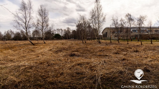 Nadmorskie Dźwirzyno będzie miało pierwsze w tej miejscowości pełnowymiarowe boisko piłkarskie. Gmina otrzymała na ten cel dofinansowanie z Ministerstwa Sportu, a także Urzędu Marszałkowskiego.