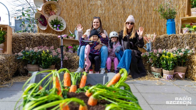 Pisanki, palmy i w zasadzie wszystko, co wielkanocne - trwa drugi dzień szczecińskiego Jarmarku Wielkanocnego w alei Kwiatowej.