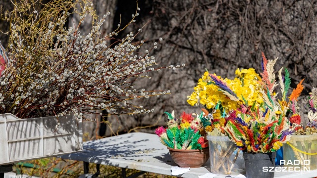 W Kościele katolickim Niedziela Męki Pańskiej, która nazywana jest Niedzielą Palmową.