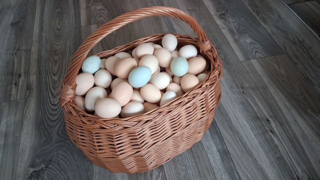 Kupują po 150 sztuk. Zamiast spokoju na wsi - prawdziwe oblężenie. Gospodarze rozkładają ręce, a klienci biorą wszystko...