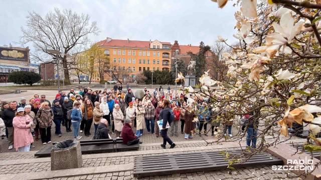 Szczecińskie magnolie zakwitły - jest to więc najlepszy czas, by je podziwiać. Z tego założenia wyszli organizatorzy spaceru, który wyruszył dziś z alei Kwiatowej.