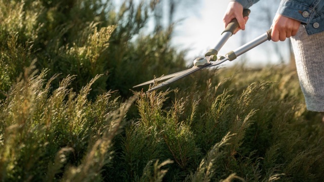 Gmina i powiat łączą siły przy koszeniu trawników, pielęgnacji żywopłotów i grabieniu liści przy drogach.
