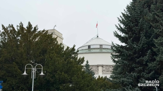 Sejm pracuje nad projektem ustawy o Krajowym Rejestrze Oznakowanych Psów i Kotów.