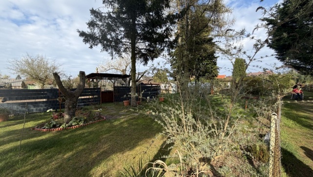 Mieszkańcy gminy Dobra protestują przeciwko decyzji o nieprzedłużeniu dzierżawy ogródków, które użytkowali nawet od blisko 40 lat. Teren ma zostać przeznaczony pod rozbudowę urzędu.