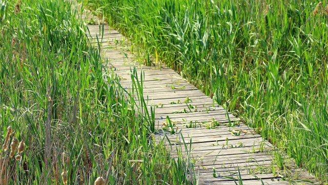 Pracownicy Wód Polskich prowadzą na Pojezierzu Myśliborskim kontrole nielegalnych pomostów.