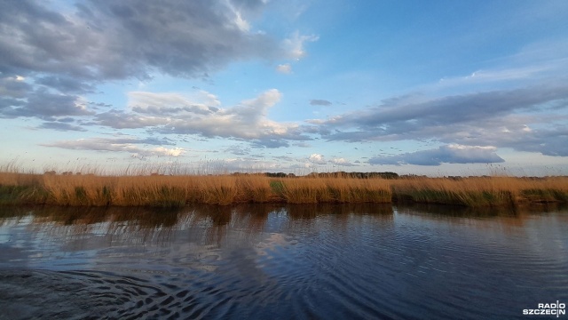Świnoujście stawia na podglądanie natury. Samorząd szykuje gratkę dla fanów przyrody i turystów szukających oddechu. Dzięki projektowi Delta Świny, na wyspach staną nowoczesne punkty obserwacyjne.