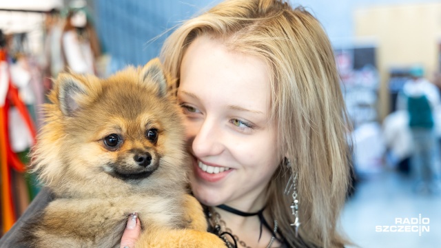 Nowy tatuaż, fryzura lub coś pysznego do zjedzenia - to wszystko znajdziemy na Psim Targu i Konwencie Charytatywnym Walk-In: Dla Futrzastej Ferajny, który odbywa się w szczecińskim Domu Kultury Krzemień.