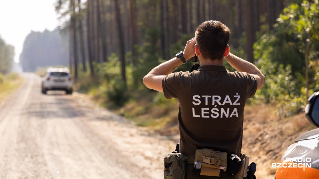 Straż leśna zaczyna w całym kraju akcję Majówka 2026. Strażnicy będą patrolować lasy i sprawdzać, czy wypoczywający w nich ludzie nie niszczą środowiska.