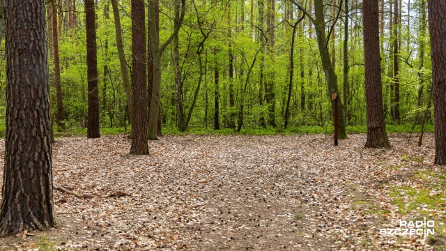 Trzeci, najwyższy stopień zagrożenia pożarowego w zachodniopomorskich lasach.