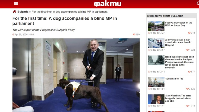 W 240-osobowym bułgarskim parlamencie pojawił się dodatkowy 241. deputowany. To towarzyszący jednemu z parlamentarzystów pies przewodnik. Czworonóg zwrócił uwagę mediów i innych posłów.