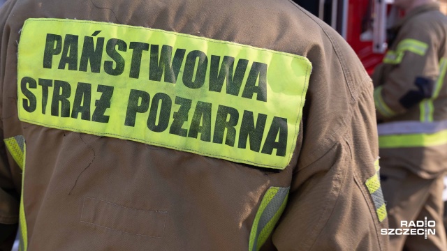 Strażacy walczą z pożarem lasu w Pławęcinie w powiecie kołobrzeskim. Spłonęło około dwóch hektarów. Na miejsce przyjechało 11 zastępów straży pożarnej, a z powietrza pomagają samolot i helikopter.