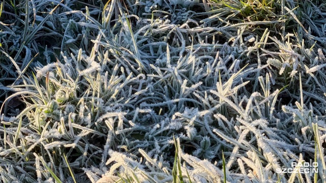 Instytut Meteorologii i Gospodarki Wodnej wydał ostrzeżenia I stopnia przed przymrozkami. Alerty dotyczą województw w Polsce północnej i centralnej oraz południa woj. dolnośląskiego. Temperatura może lokalnie spaść przy gruncie do minus 4 st. C.