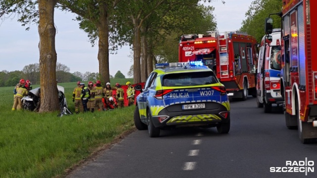 Tragiczny wypadek niedaleko Karlina. BMW wypadło z drogi i uderzyło w drzewo.