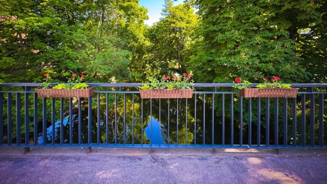 Pelargonie, hortensje, róże, wilce i gaury - Stargardzki Zarząd Usług Komunalnych ruszył z letnimi nasadzeniami. Jest sporo nowości.