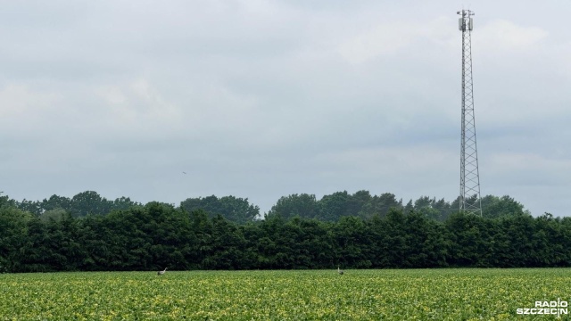 Niewielka Osina w powiecie goleniowskim i wielki problem mieszkańców. Miejscowość pozbawiona jest zasięgu sieci.