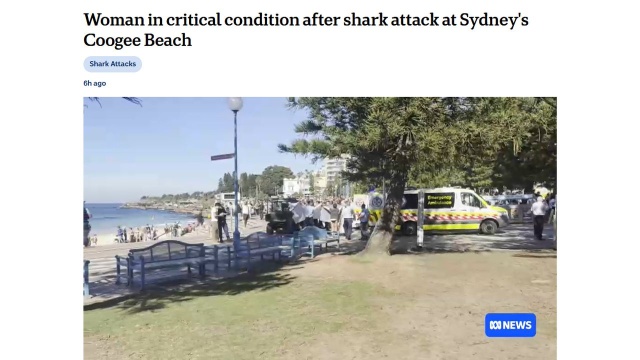 35-letnia kobieta jest w stanie krytycznym na skutek ataku rekina, do którego doszło w sobotę na plaży w największym mieście Australii, Sydney - poinformowały tamtejsze władze. To kolejny tego rodzaju przypadek u wybrzeży tego kraju.