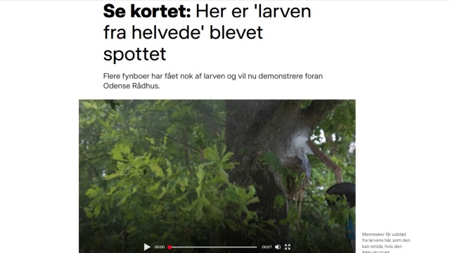 W Odense, trzecim co do wielkości mieście Danii, trwa inwazja korowódki dębówki, zwanej larwą z piekła rodem. Gąsienice motyli zrzucają mikroskopijne włoski, które roznoszone przez wiatr powodują u ludzi i zwierząt silne reakcje alergiczne.
