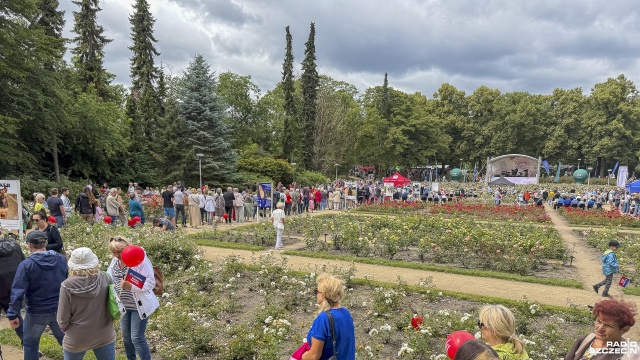 81-kilogramowy tort zniknął w błyskawicznym tempie. Mieszkańcy, którzy przyszli na urodziny Szczecina na Różance, mogli wspólnie poczęstować się jubileuszowym wypiekiem przygotowanym z okazji 81. rocznicy polskiego Szczecina.