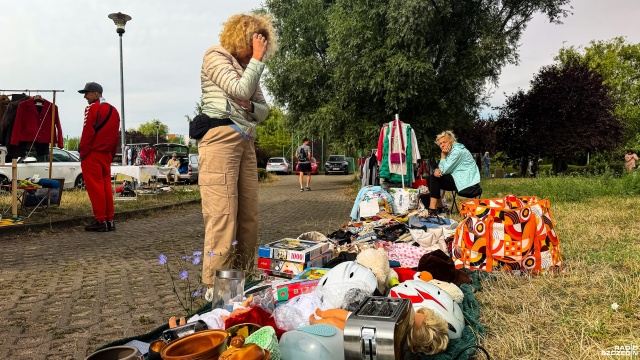 Pchli targ nad Jeziorkiem Słonecznym [ZDJĘCIA]