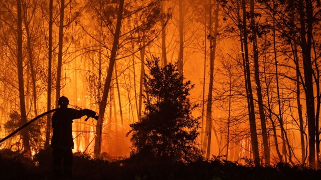 Ponad 330 tysięcy osób zostało ewakuowanych w ostatnich dniach we Francji i w Hiszpanii z powodu pożarów lasów. We Francji ogień strawił ponad 42 tysiące hektarów, dwóch strażaków zostało rannych. Natomiast w Hiszpanii w wyniku pożaru zginęła, jak na razie, jedna osoba.