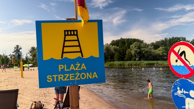 Seans z niechcianymi gośćmi w tle? Komary wróciły nad Jezioro Dąbie [WIDEO]