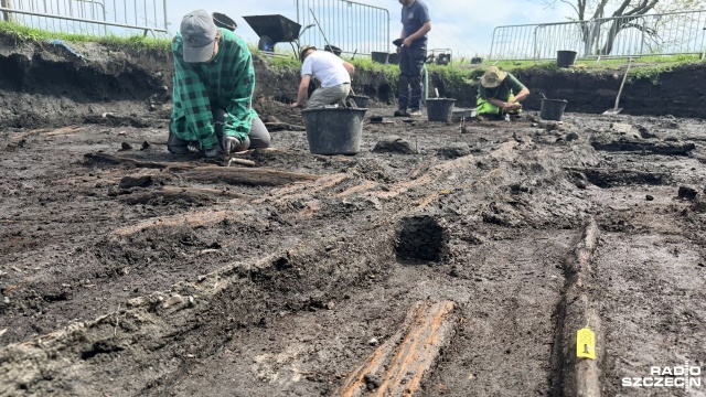 To mogą być pozostałości najstarszego portu Wolina. Archeolodzy, którzy badają Srebrne Wzgórze odkryli drewniane konstrukcje - prawdopodobnie pomost i umocnienia nabrzeży.