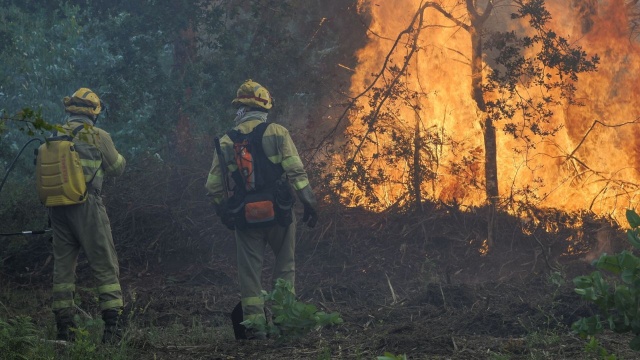 Polscy strażacy rozpoczęli gaszenie pożarów w Hiszpanii.