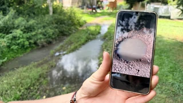 Zimą zamarzają, latem wydają nieznośny odór. W Klępiczu w gminie Moryń z lokalnych studzienek wylewają się nieczystości.