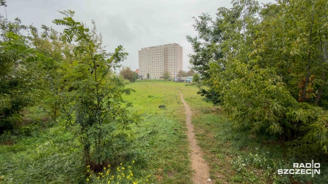Miasto Szczecin ponownie wystawi na sprzedaż zielony teren przyległy do Targowiska Turzyn. To obszar o powierzchni około siedmiu tysięcy metrów kwadratowych zlokalizowany na rogu Alei Bohaterów Warszawy oraz ulicy Kordeckiego.