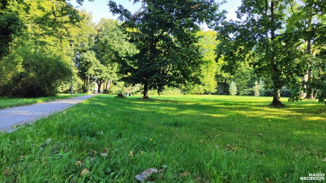 Kołobrzeski park 3 Dywizji Piechoty przejdzie remont. W przeszłości mieścił się tam cmentarz.